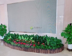 企业大厅显示屏组合花卉绿植摆放